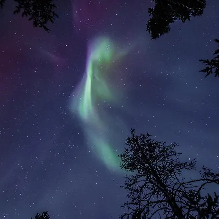 Villa Lapland Senses Premium Lodge *